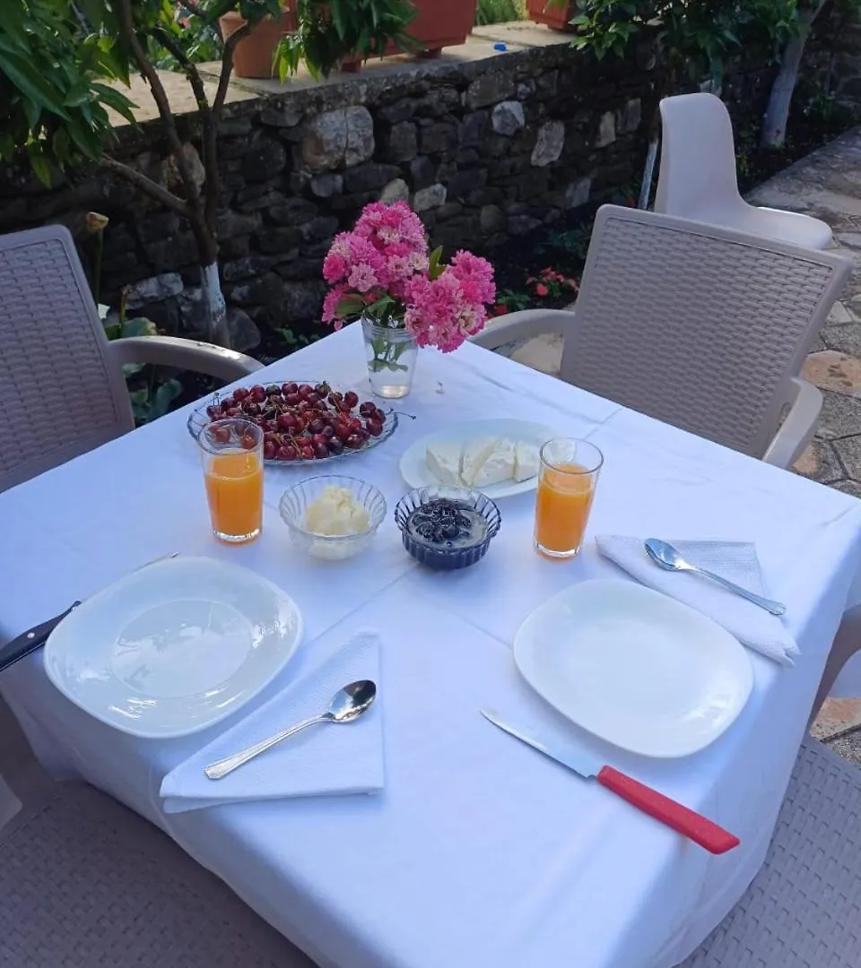 Tek Gjyshi Hotel Permet